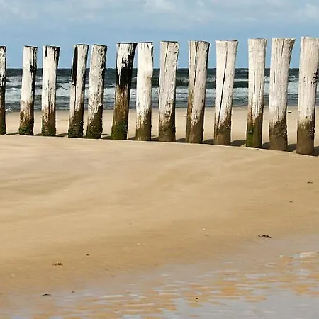 Duinberk En Brasserie