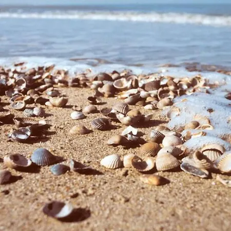 Hotel Duinberk En Brasserie Schoorl