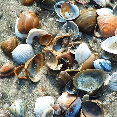 Hotel Duinberk En Brasserie 3*