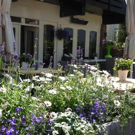 Hotel Duinberk En Brasserie Schoorl